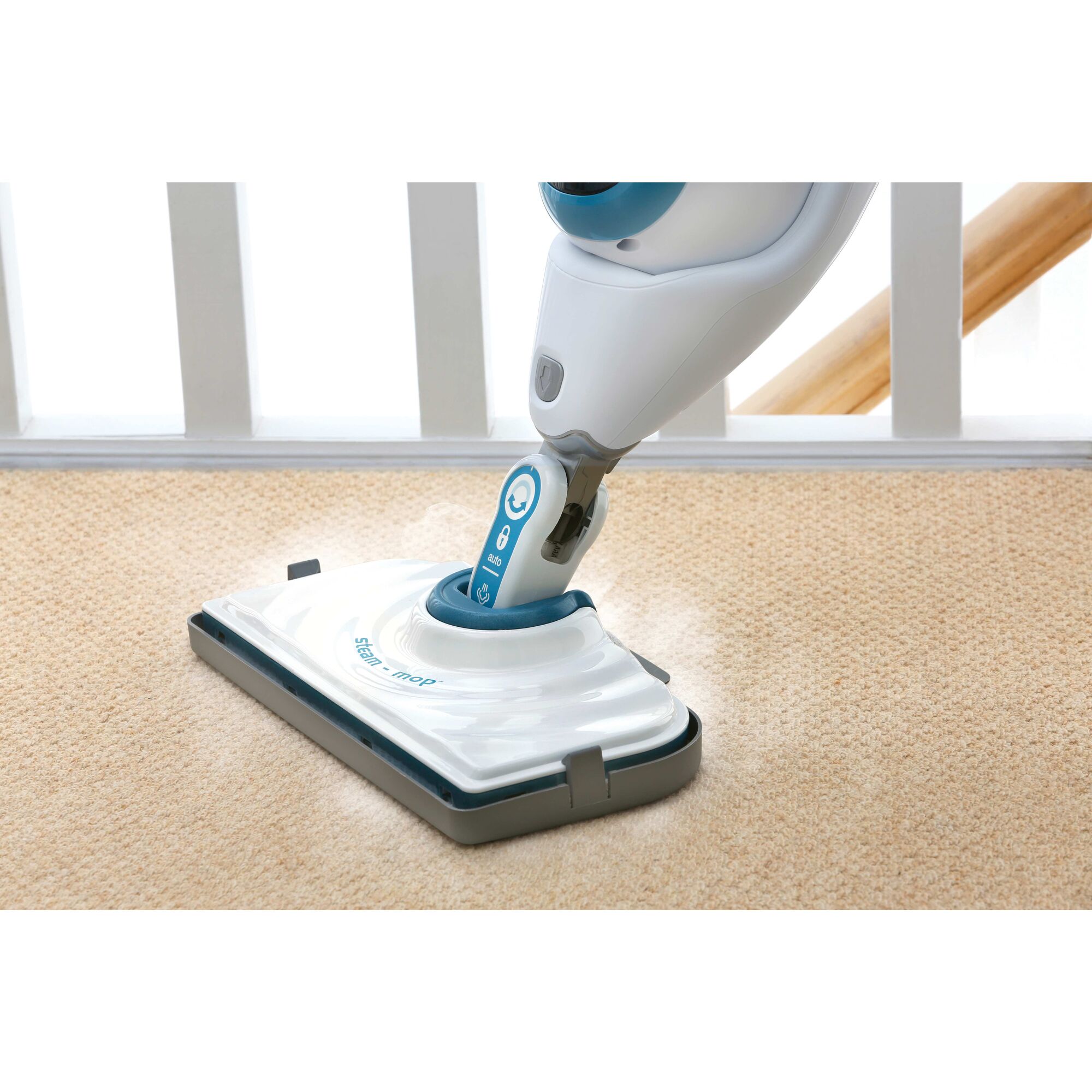 steam mop carpet